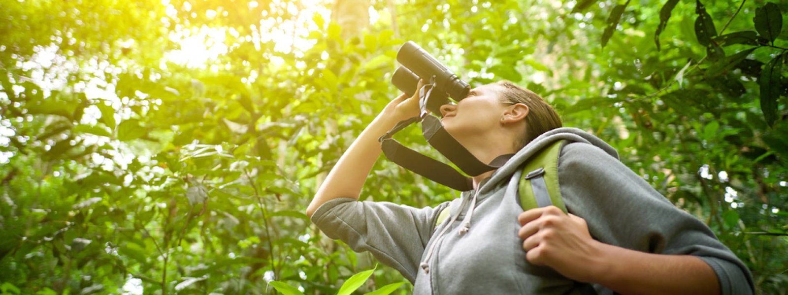Best Bird Watching Equipment