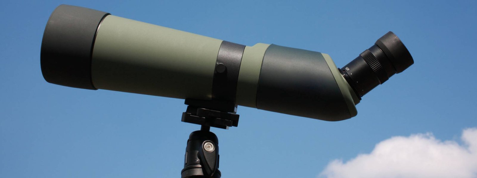 best spotting scope