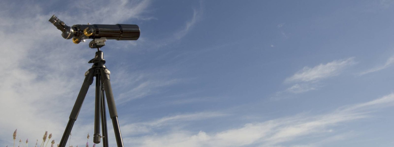 How to Choose a Spotting Scope