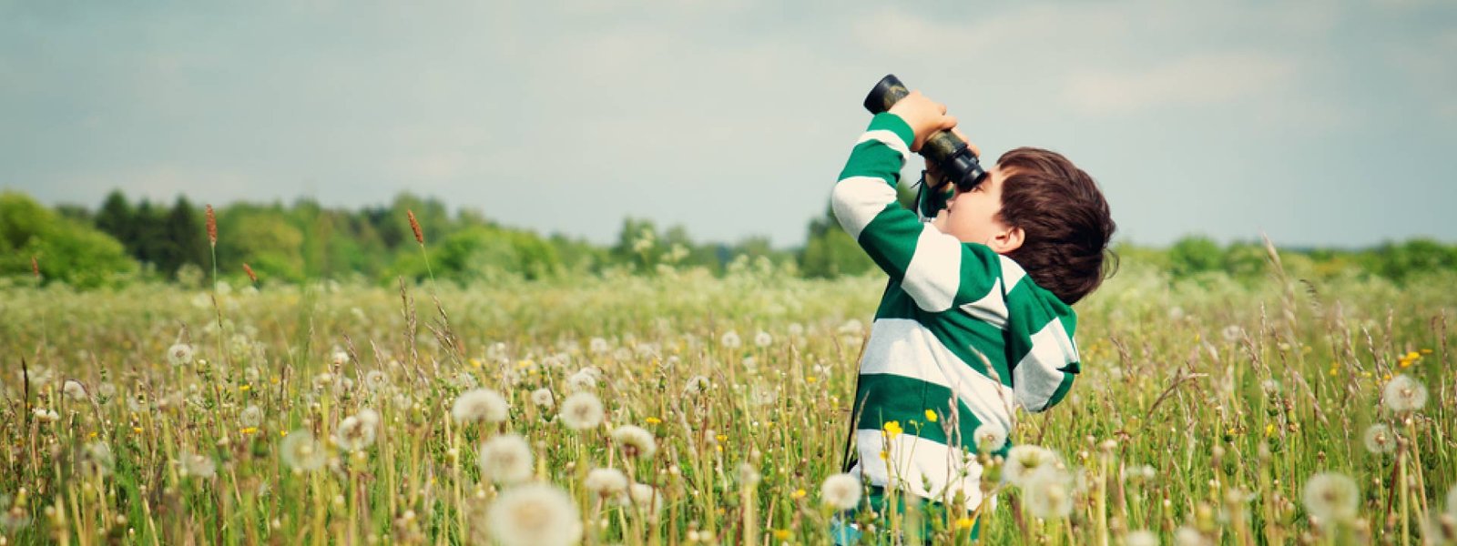 Spotting Scope VS Binoculars