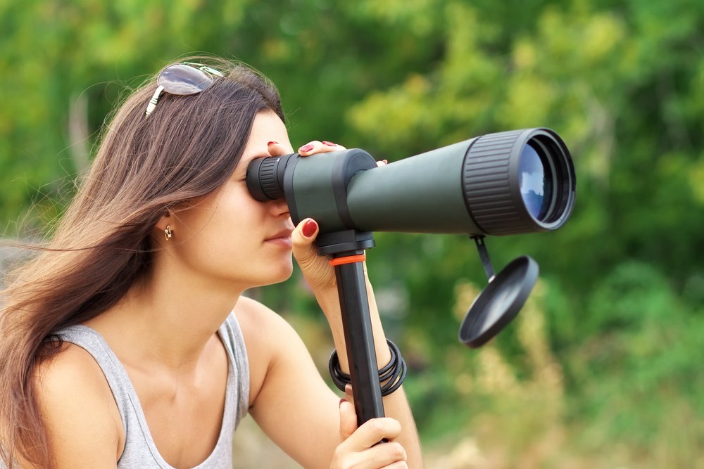 Best Spotting Scopes for Long Range Shooting